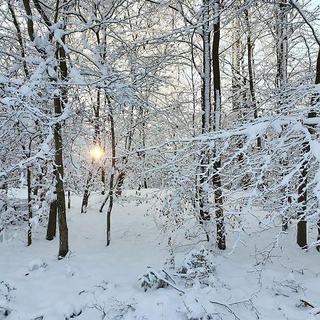 Apartmán Haus Nordlicht Horn-Bad Meinberg Exteriér fotografie