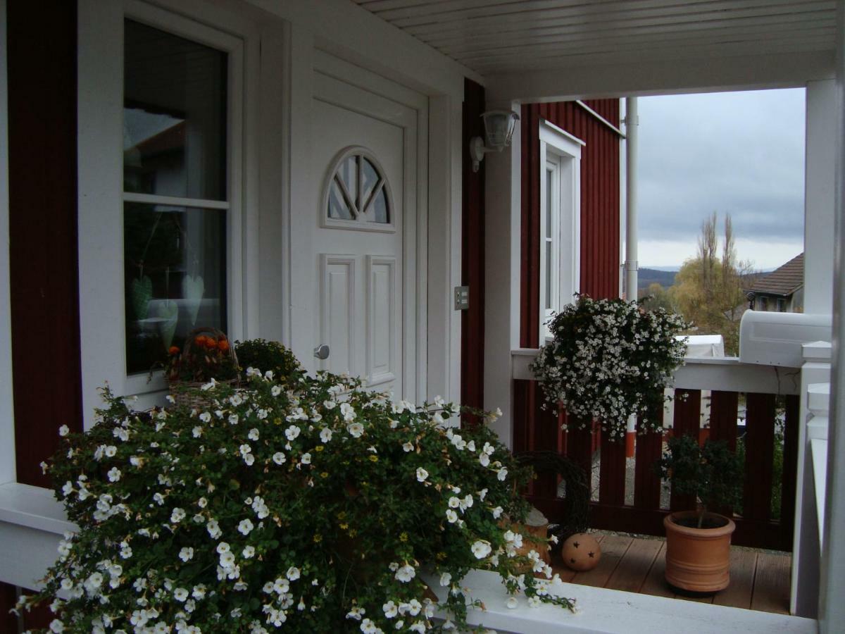 Apartmán Haus Nordlicht Horn-Bad Meinberg Exteriér fotografie